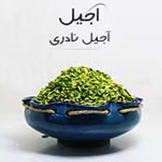 خلال-پسته-قزوین-500-گرمی