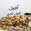 آجیل-شور-250-گرمی