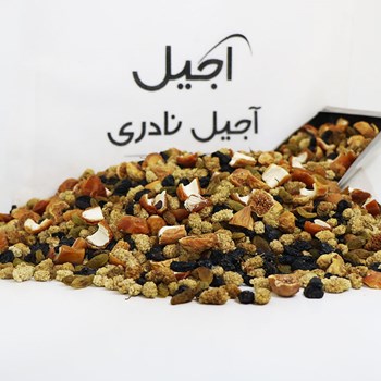 آجیل-مخصوص-چای-500-گرمی