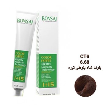 رنگ-مو-بنسای-شماره-CT6-حجم-100-میلی-لیتر-رنگ-بلوند-بلوطی-تیره