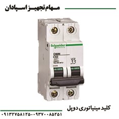 کلید-مینیاتوری-دوپل-اشنایدر-2P-6A