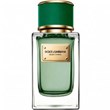 دولچه-گابانا-ولوت-سایپرس-DOLCE-GABBANA-Velvet-Cypress