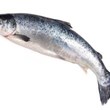 Export-of-salmon