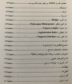 از-جاندار-شناسی-تا-خدا-شناسی