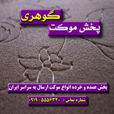 موکت-پاسارگاد-پارس