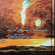 پری-مانده-از-سیمرغان-در-راه